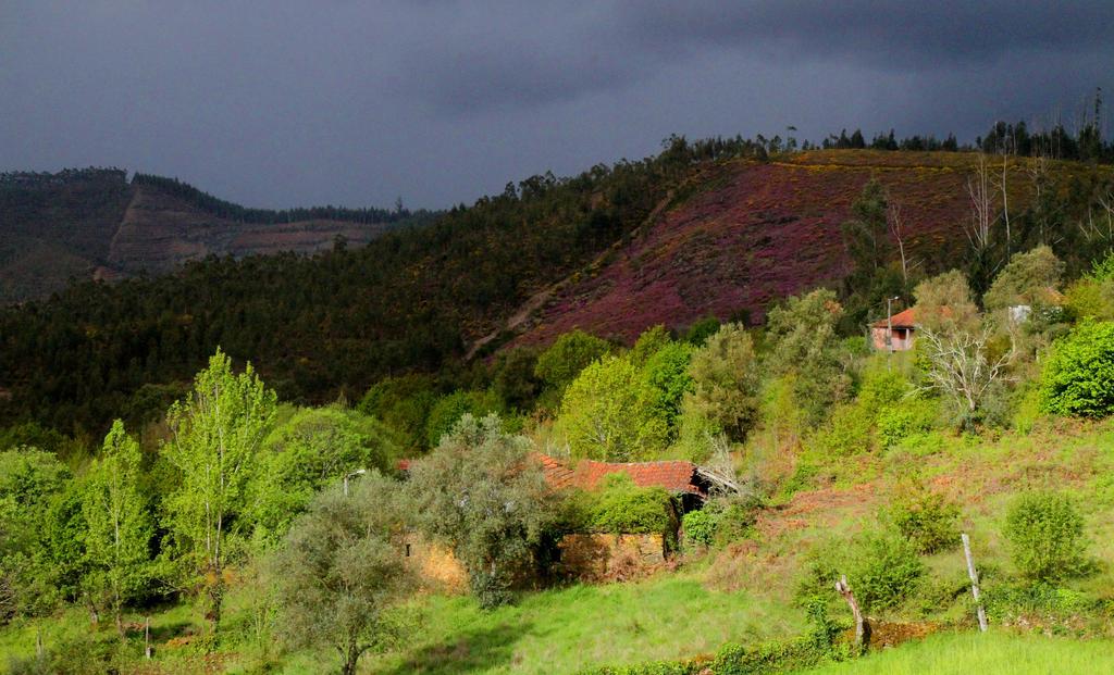 Villa Quinta De Gildinho Exterior foto